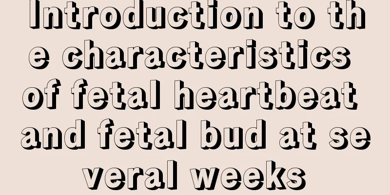 Introduction to the characteristics of fetal heartbeat and fetal bud at several weeks