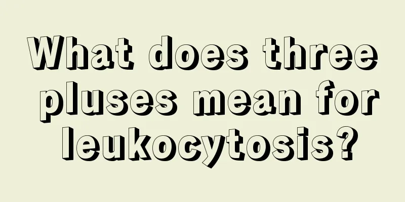 What does three pluses mean for leukocytosis?