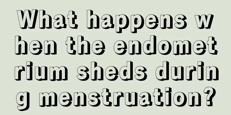 What happens when the endometrium sheds during menstruation?