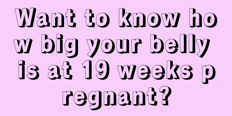 Want to know how big your belly is at 19 weeks pregnant?