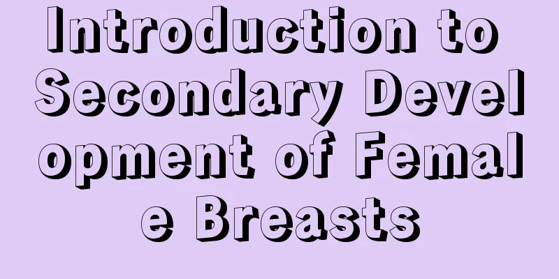 Introduction to Secondary Development of Female Breasts