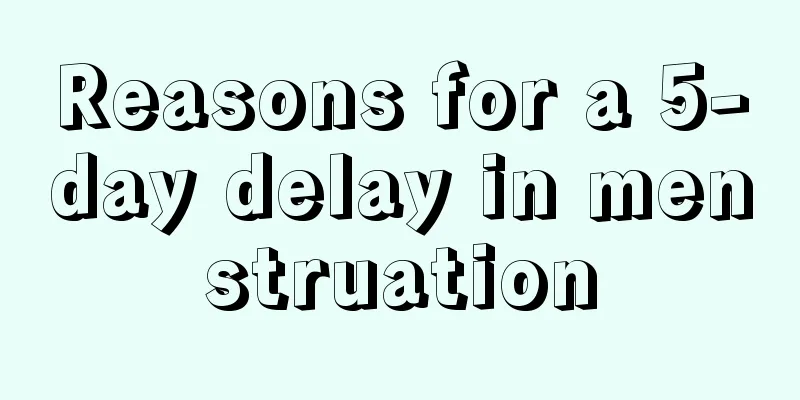 Reasons for a 5-day delay in menstruation