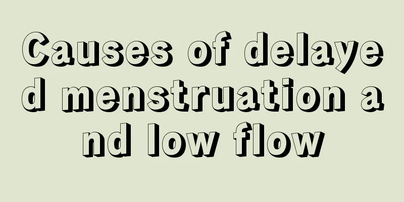 Causes of delayed menstruation and low flow