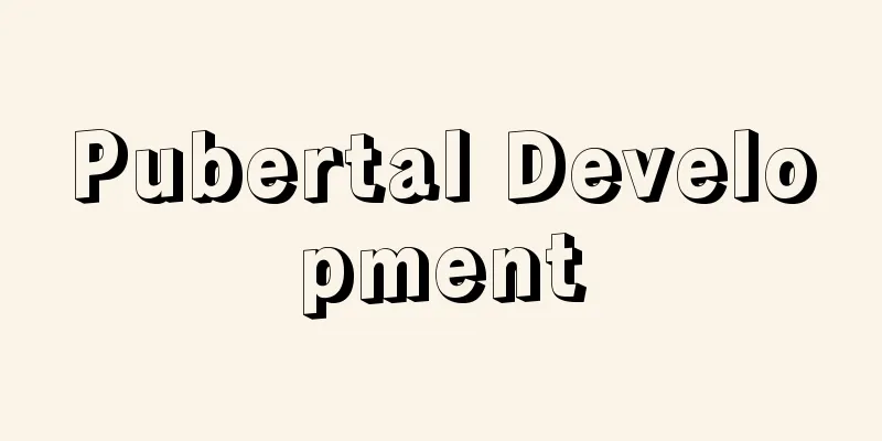 Pubertal Development