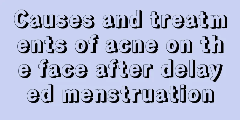 Causes and treatments of acne on the face after delayed menstruation