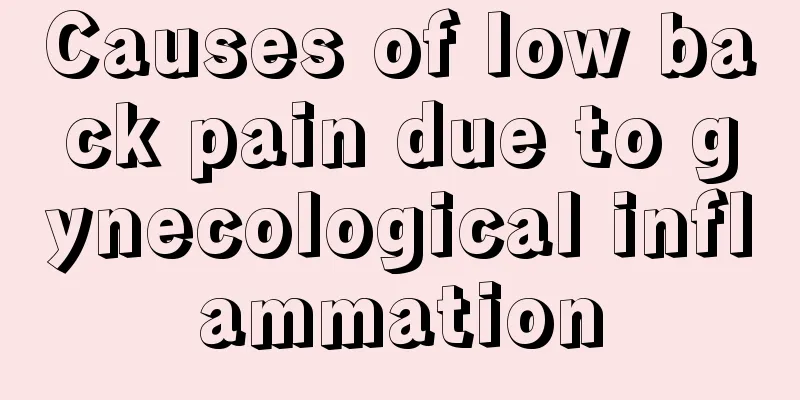 Causes of low back pain due to gynecological inflammation