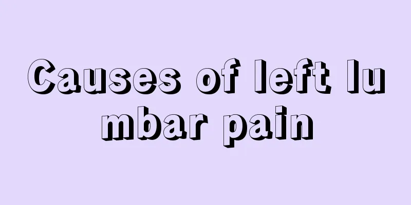 Causes of left lumbar pain