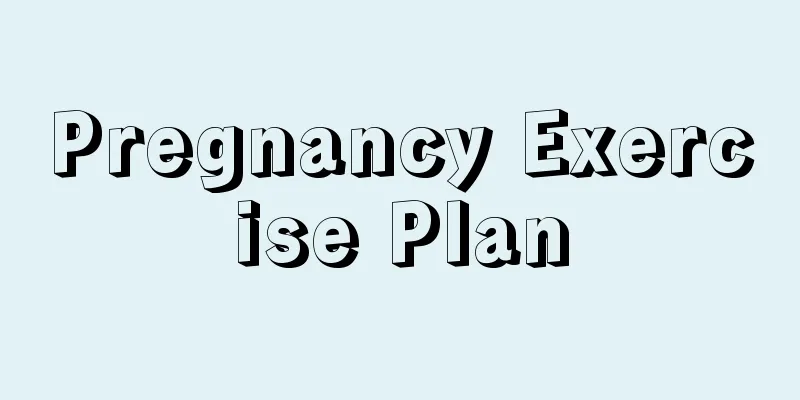 Pregnancy Exercise Plan