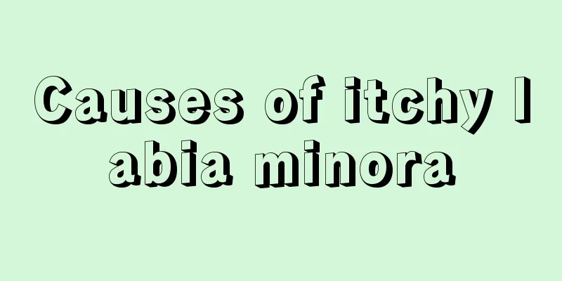 Causes of itchy labia minora