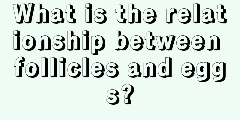 What is the relationship between follicles and eggs?