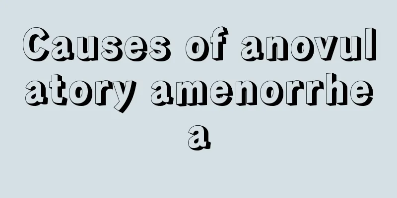 Causes of anovulatory amenorrhea