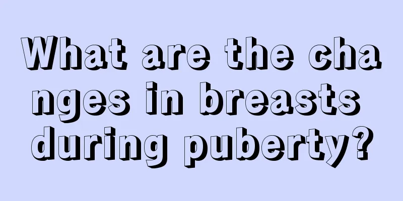 What are the changes in breasts during puberty?