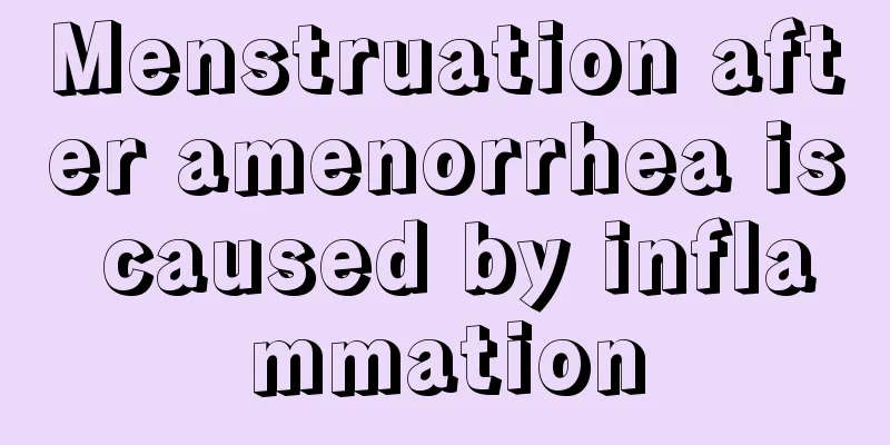 Menstruation after amenorrhea is caused by inflammation