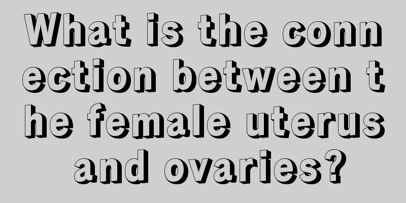 What is the connection between the female uterus and ovaries?