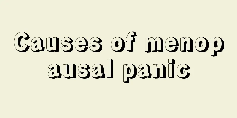 Causes of menopausal panic