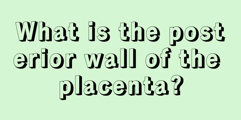 What is the posterior wall of the placenta?