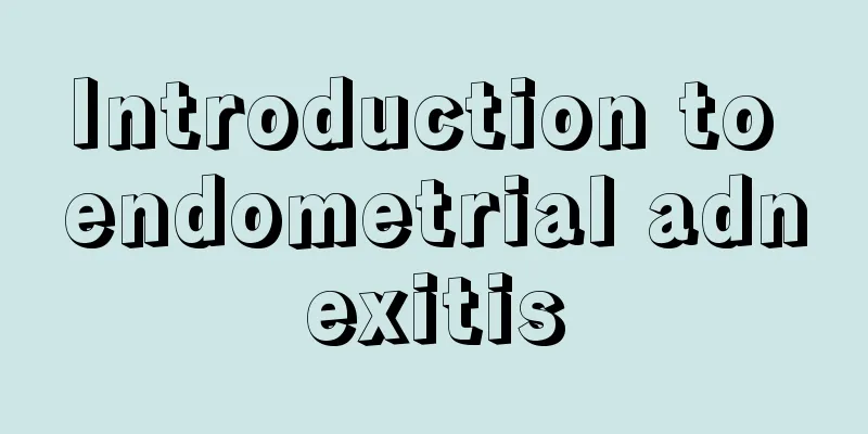 Introduction to endometrial adnexitis