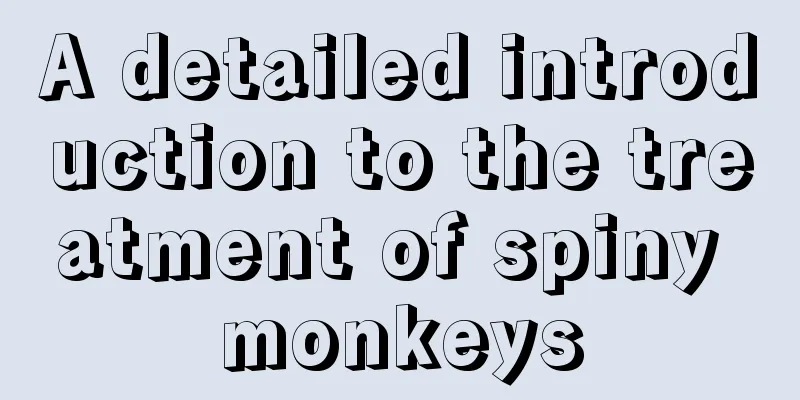 A detailed introduction to the treatment of spiny monkeys