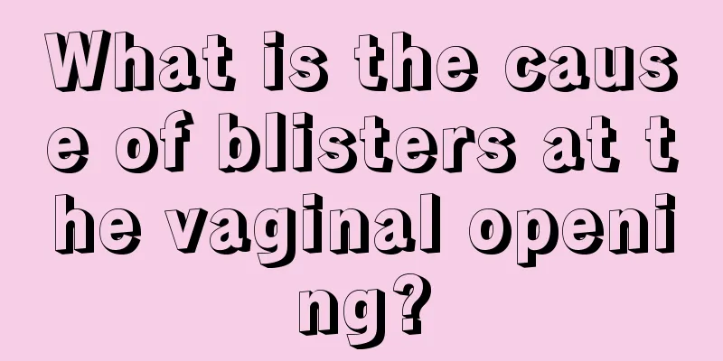 What is the cause of blisters at the vaginal opening?