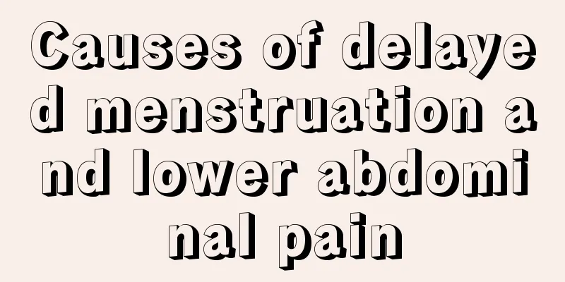 Causes of delayed menstruation and lower abdominal pain