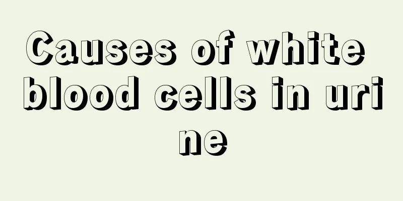 Causes of white blood cells in urine