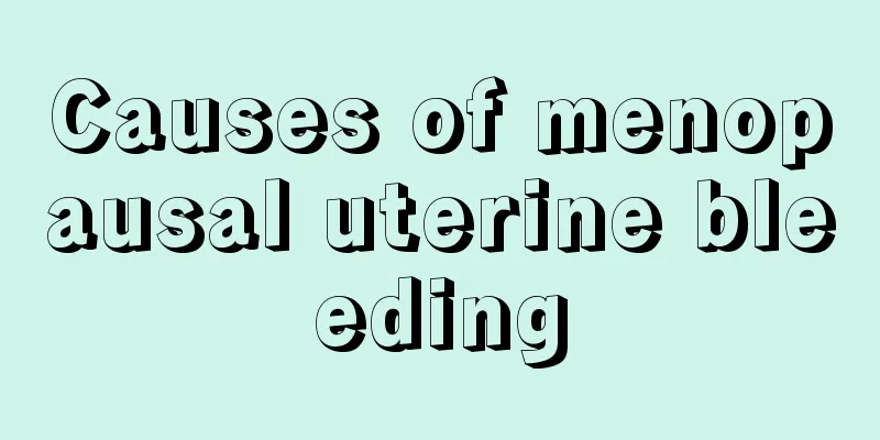 Causes of menopausal uterine bleeding