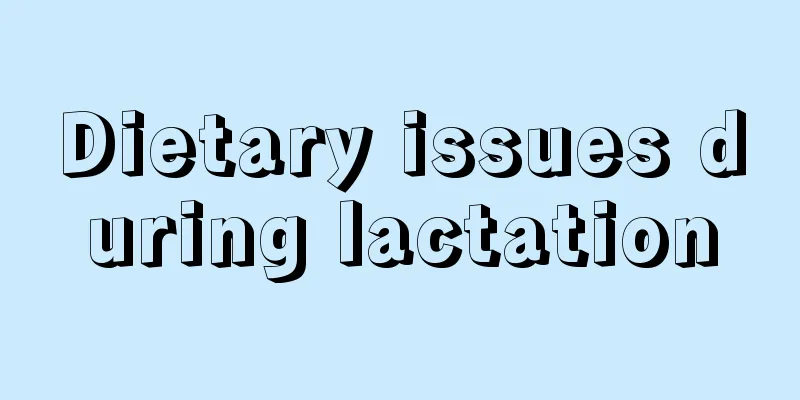 Dietary issues during lactation