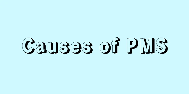 Causes of PMS