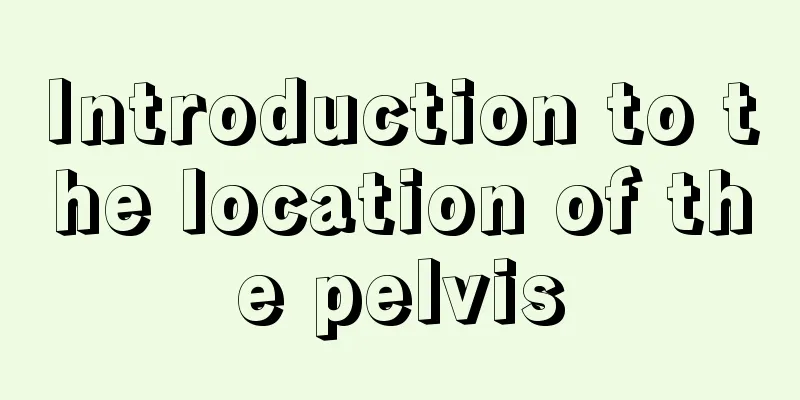 Introduction to the location of the pelvis