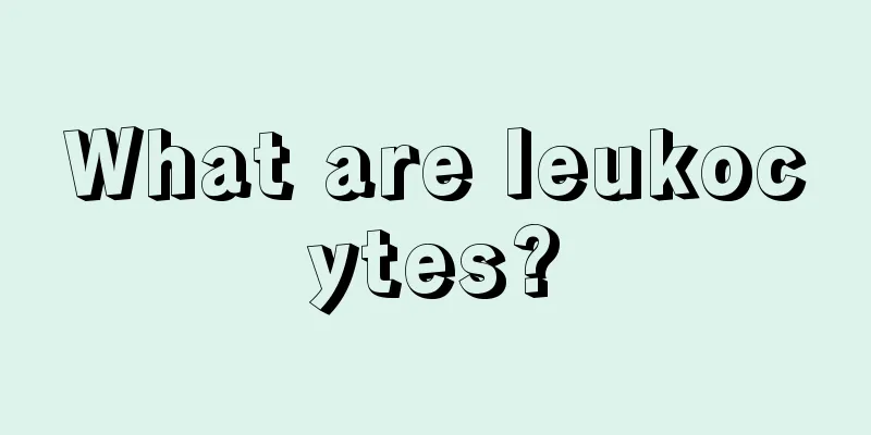 What are leukocytes?