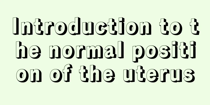 Introduction to the normal position of the uterus