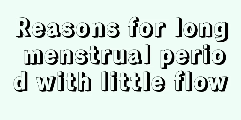 Reasons for long menstrual period with little flow