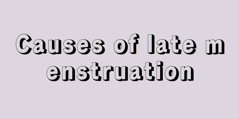 Causes of late menstruation