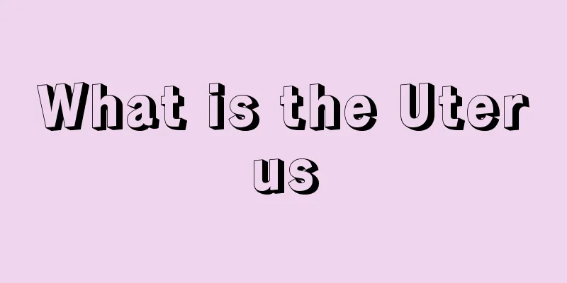 What is the Uterus