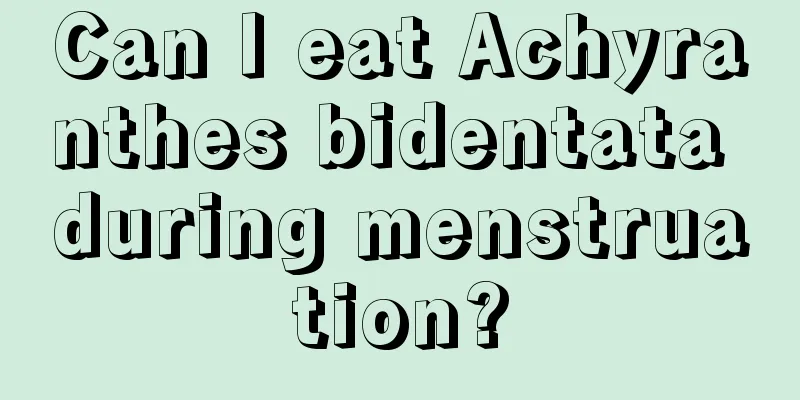 Can I eat Achyranthes bidentata during menstruation?