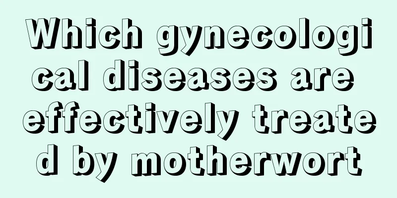 Which gynecological diseases are effectively treated by motherwort