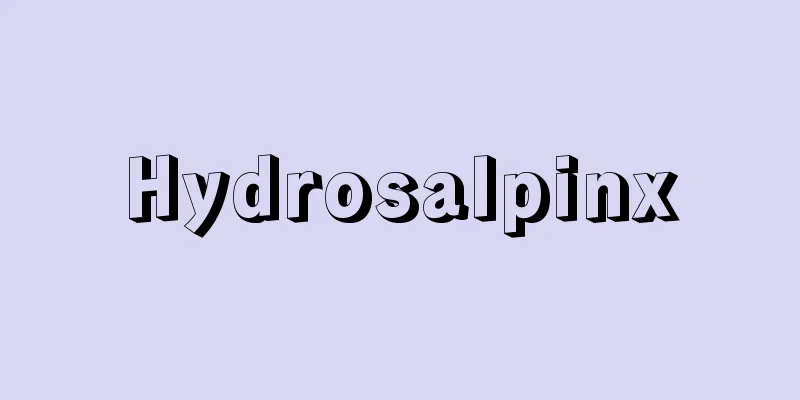 Hydrosalpinx