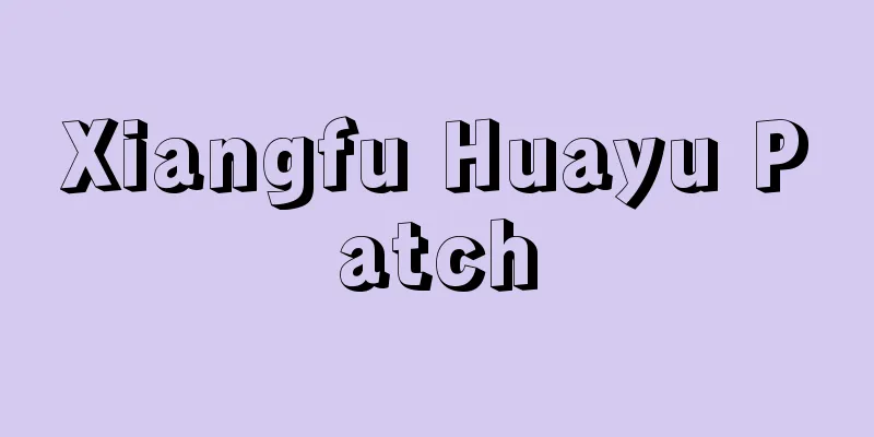 Xiangfu Huayu Patch