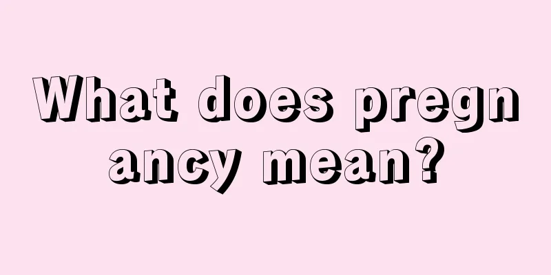 What does pregnancy mean?