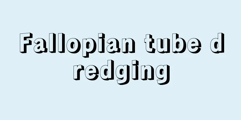 Fallopian tube dredging