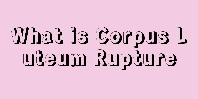 What is Corpus Luteum Rupture