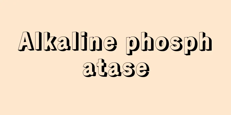 Alkaline phosphatase