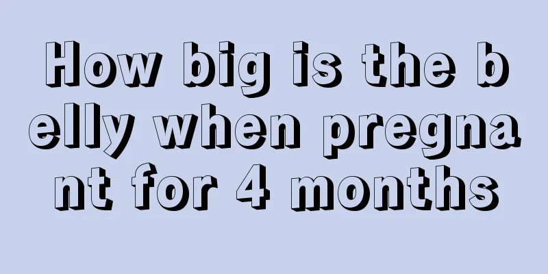 How big is the belly when pregnant for 4 months