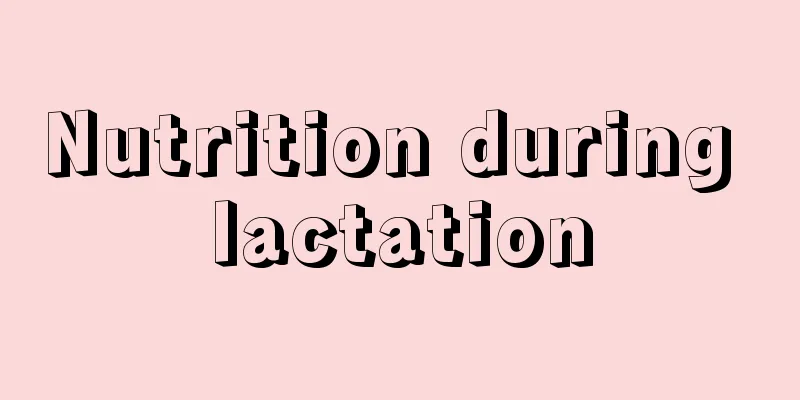 Nutrition during lactation