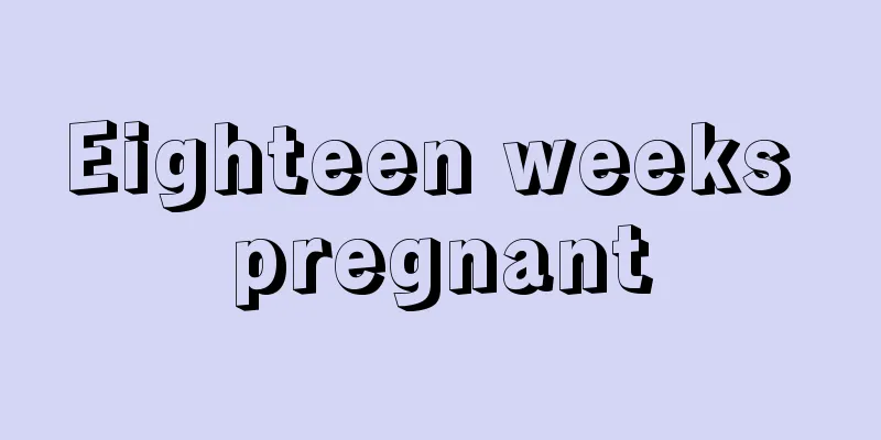 Eighteen weeks pregnant