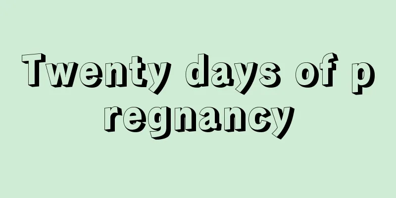 Twenty days of pregnancy