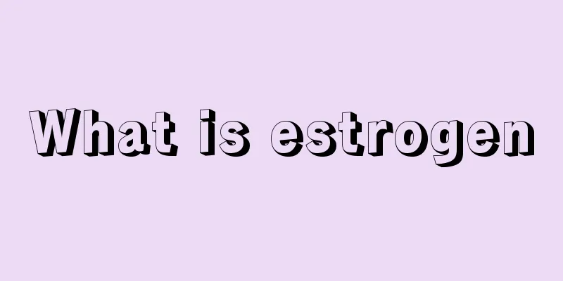 What is estrogen