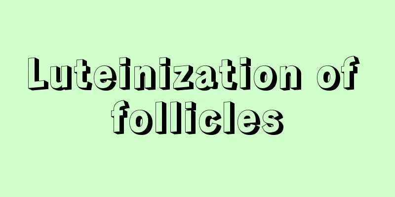 Luteinization of follicles