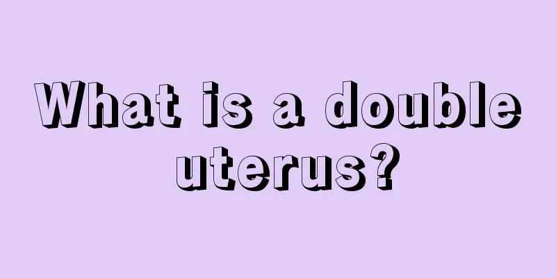 What is a double uterus?