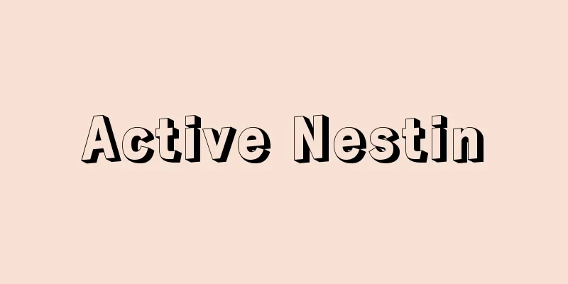 Active Nestin